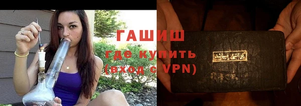индика Бородино