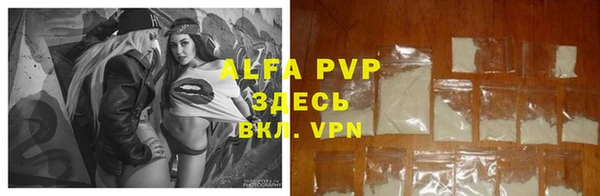 прущие грибы Осинники