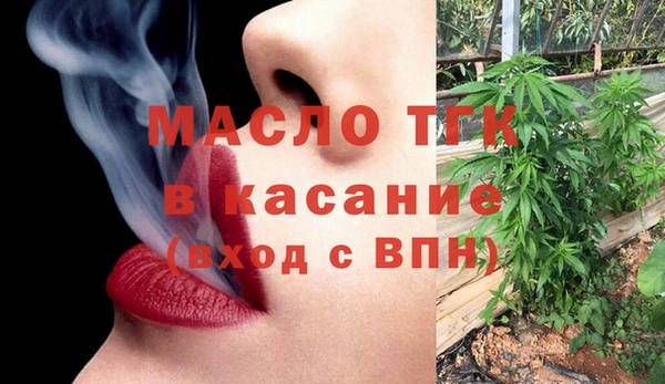 молекула духа Фёдоровский