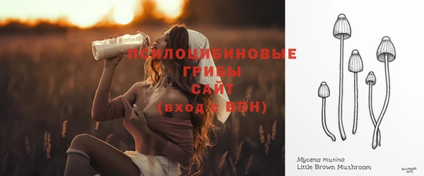 ПСИЛОЦИБИНОВЫЕ ГРИБЫ Нестеровская
