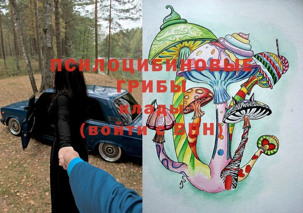 прущие грибы Осинники