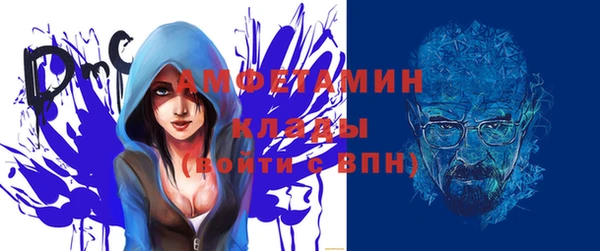 молекула духа Фёдоровский