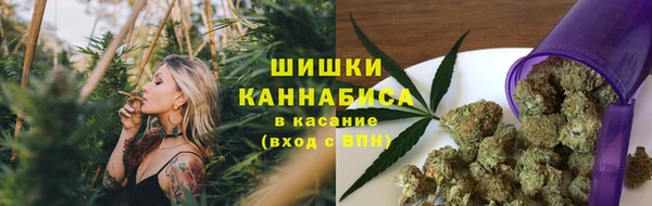 ПСИЛОЦИБИНОВЫЕ ГРИБЫ Нестеровская